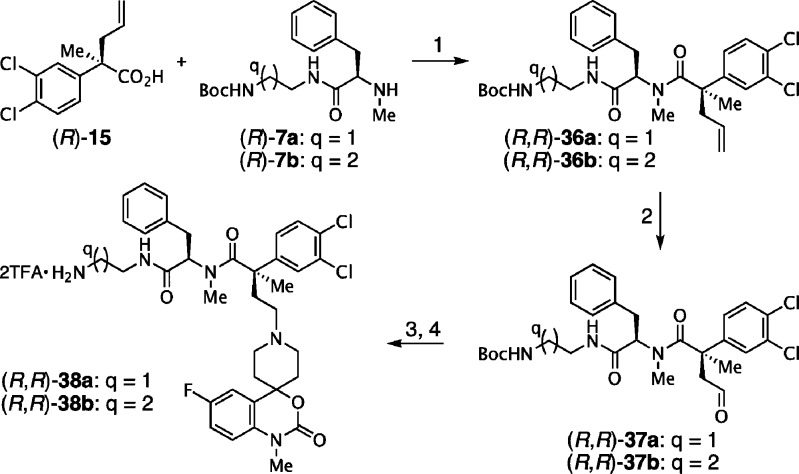 Scheme 4