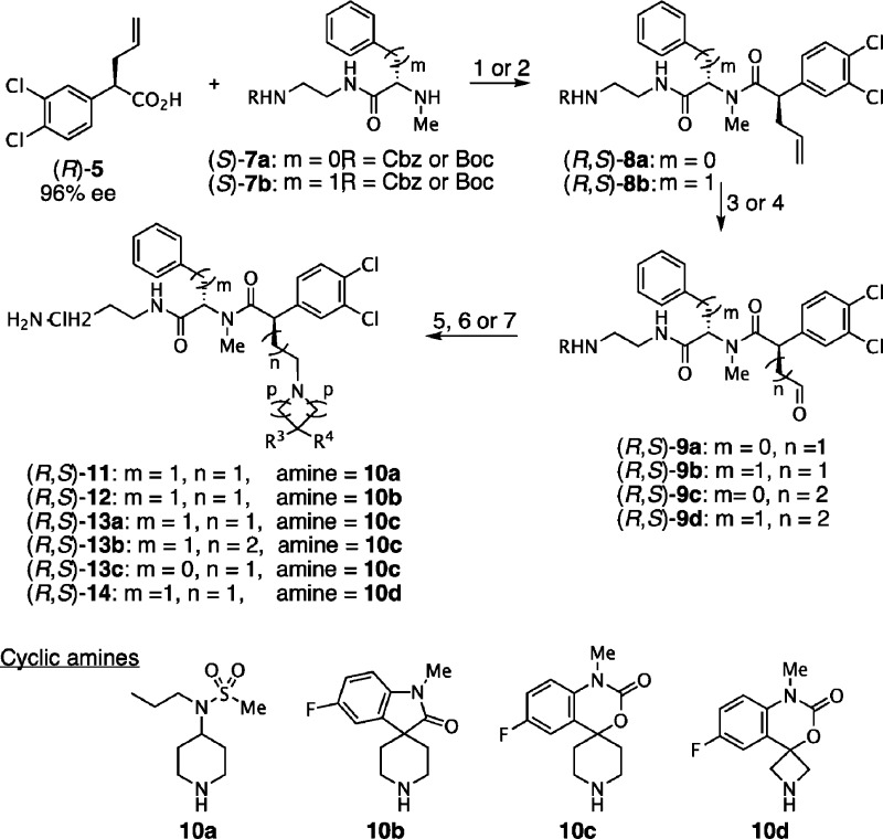 Scheme 1