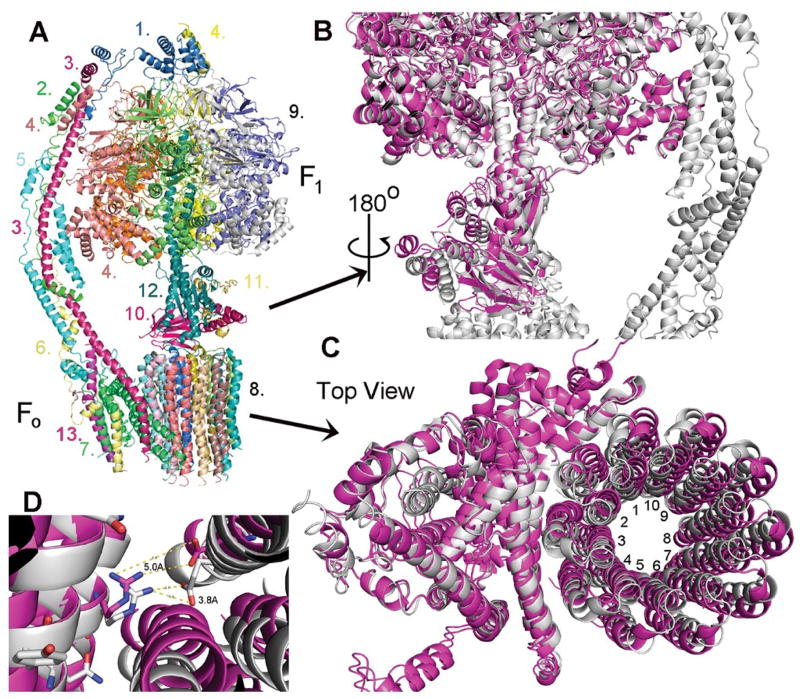 Fig. 3