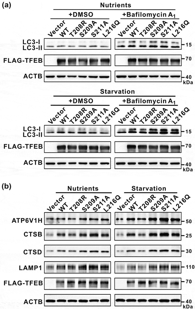 Figure 6.