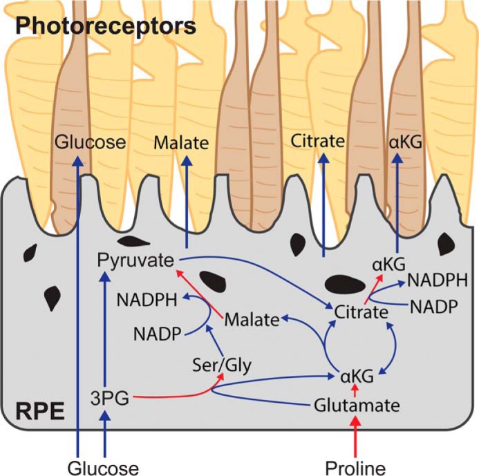 Figure 9.