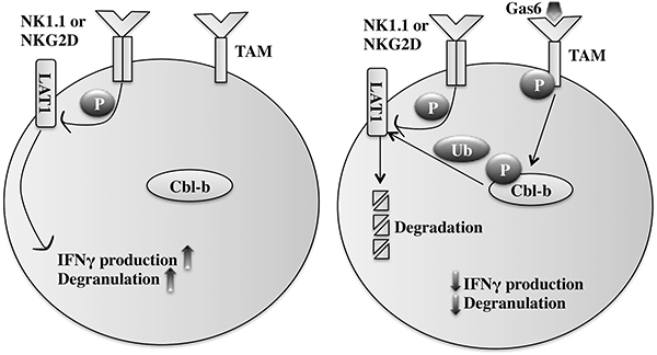 Fig 4.