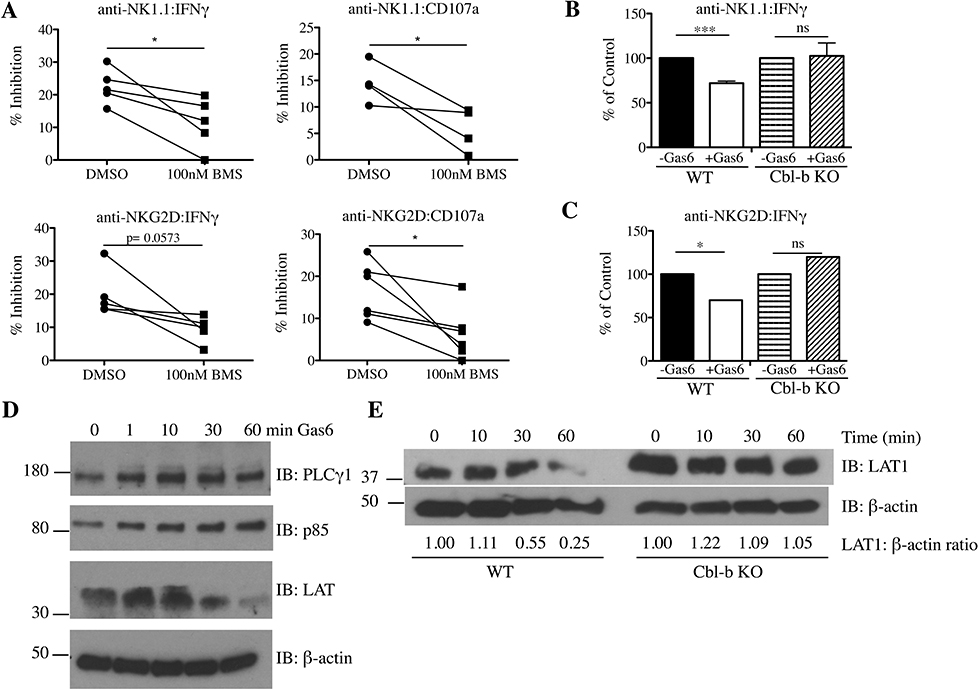 Fig 3.