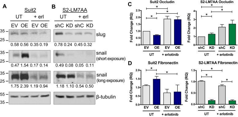 Figure 7