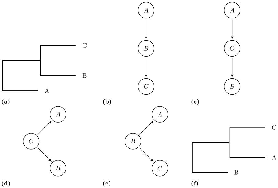 Fig 1.