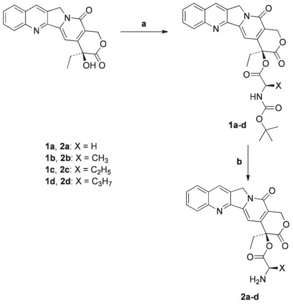 Scheme 1