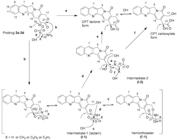 Scheme 2