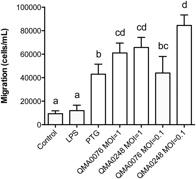 Fig 5