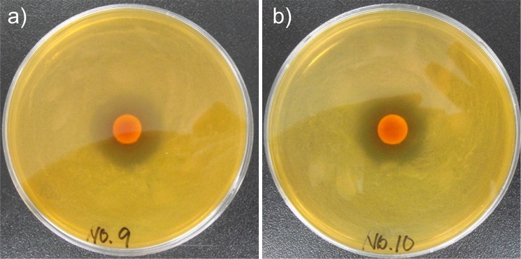 Fig. 6