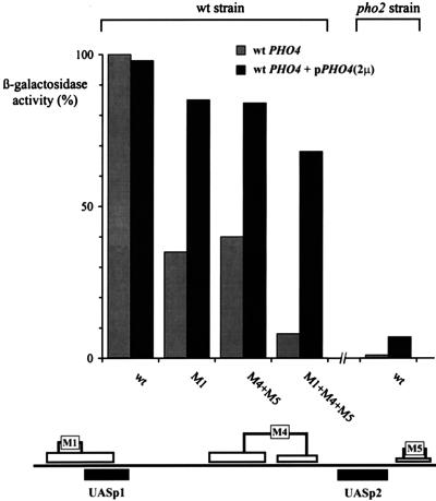 FIG. 8