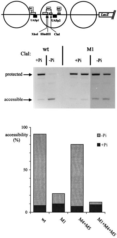 FIG. 6