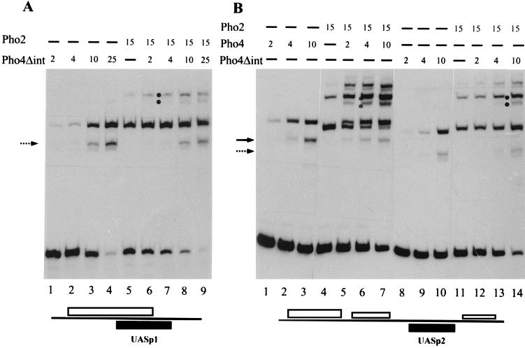 FIG. 9