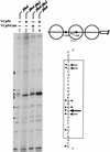 FIG. 10