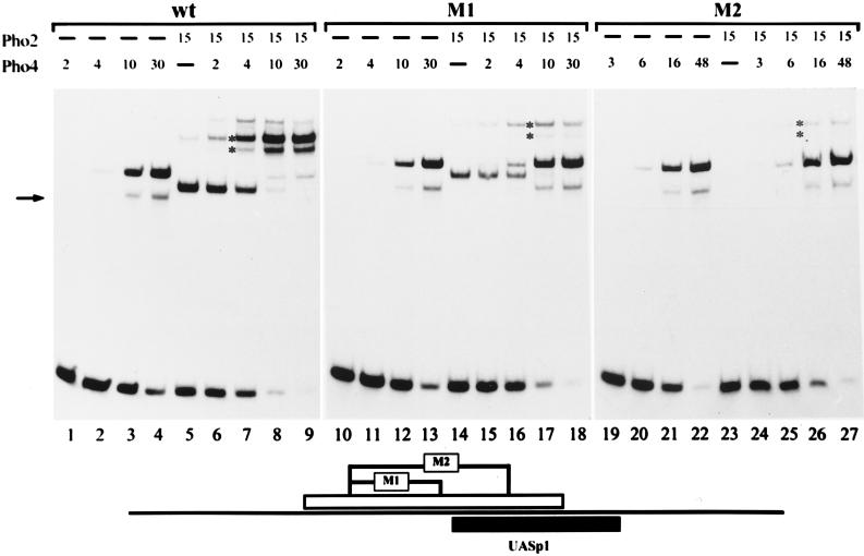 FIG. 3