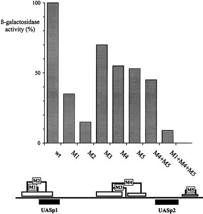 FIG. 4