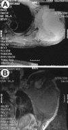 Figure 2)