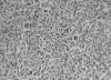 Figure 3)