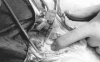 Figure 5)