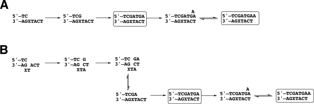 Scheme 2