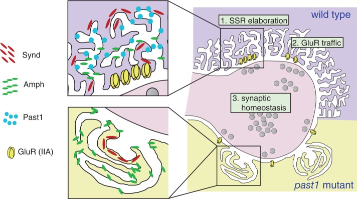 FIGURE 7: