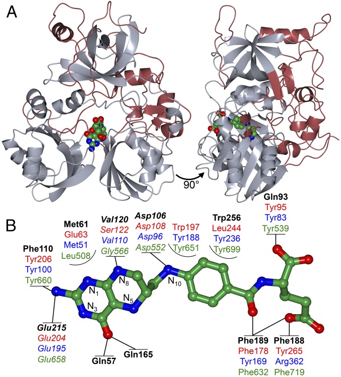 Fig. 4.