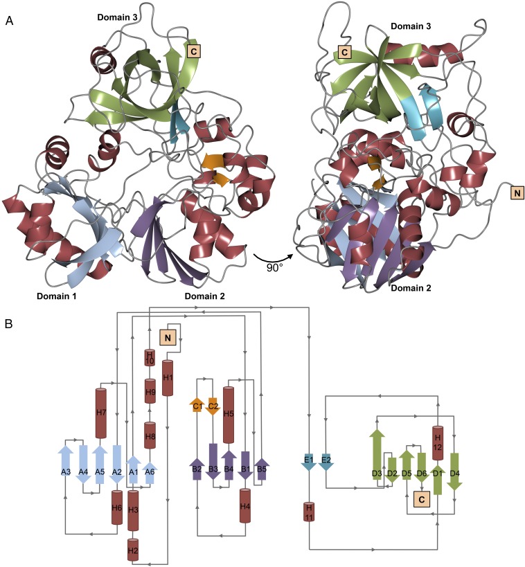 Fig. 3.