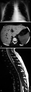 Fig. 3