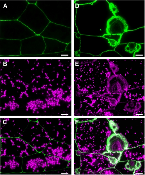 Figure 10.