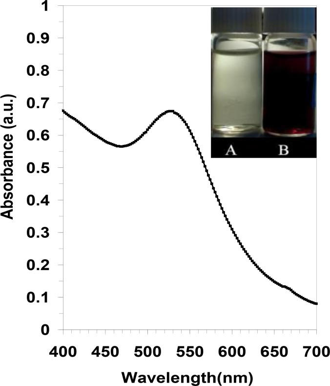 Fig. 1: