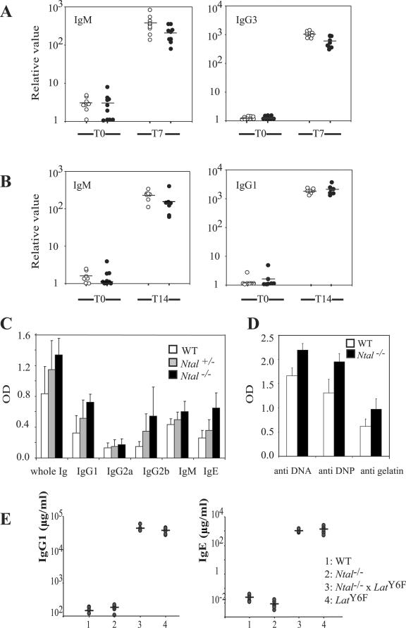 FIG. 7.