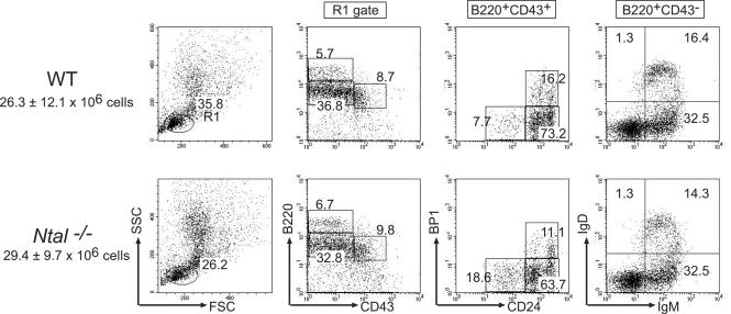 FIG. 3.