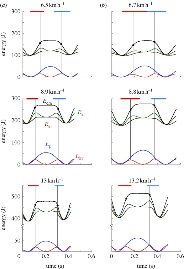 Figure 1.