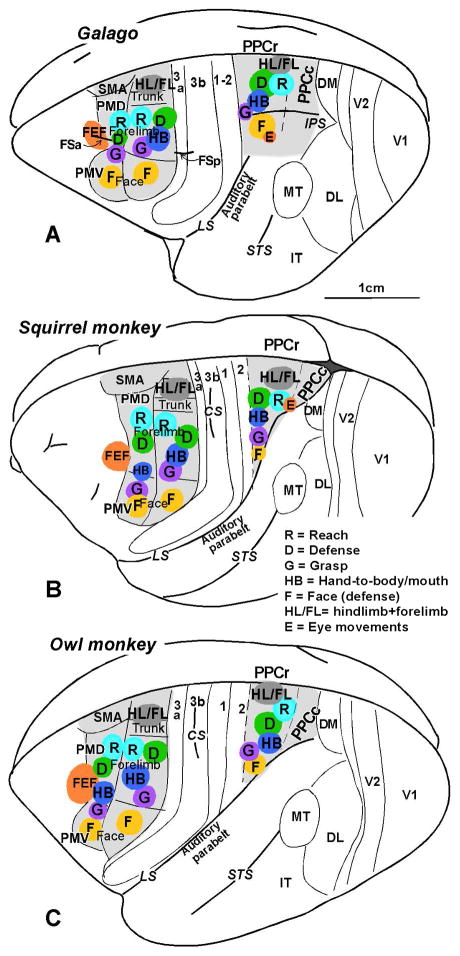 Fig. 5