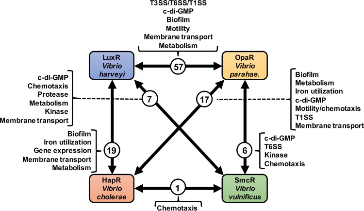 FIG 3