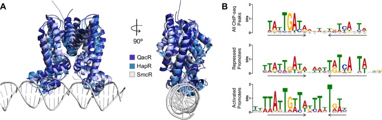 FIG 2