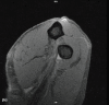 Figure 1b