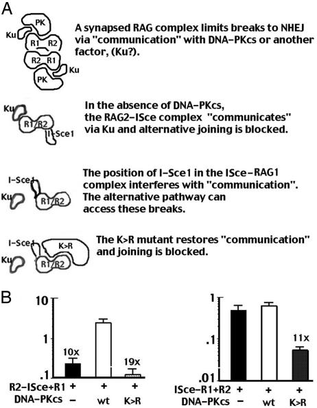 Fig. 5.