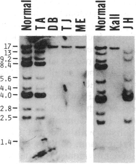 graphic file with name pnas00288-0313-a.jpg