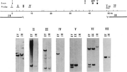 graphic file with name pnas00288-0315-a.jpg