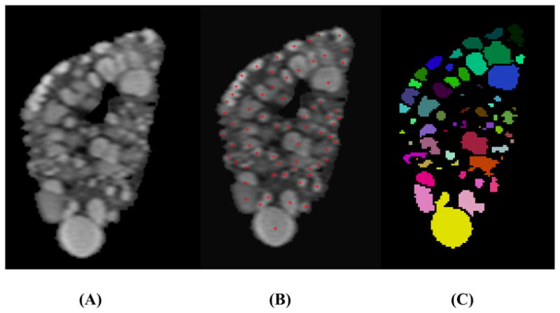 Fig. 2