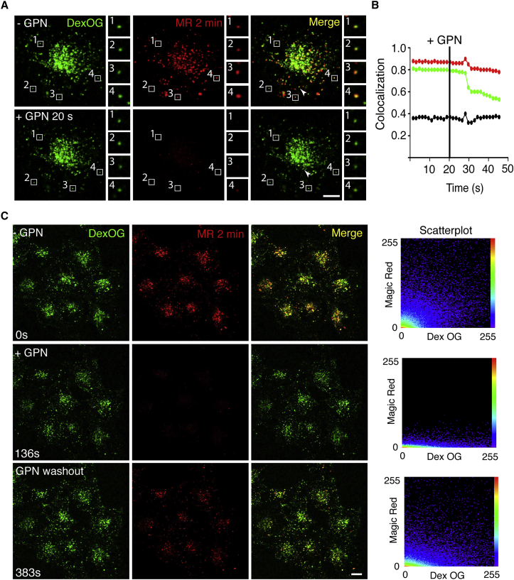 Figure 2