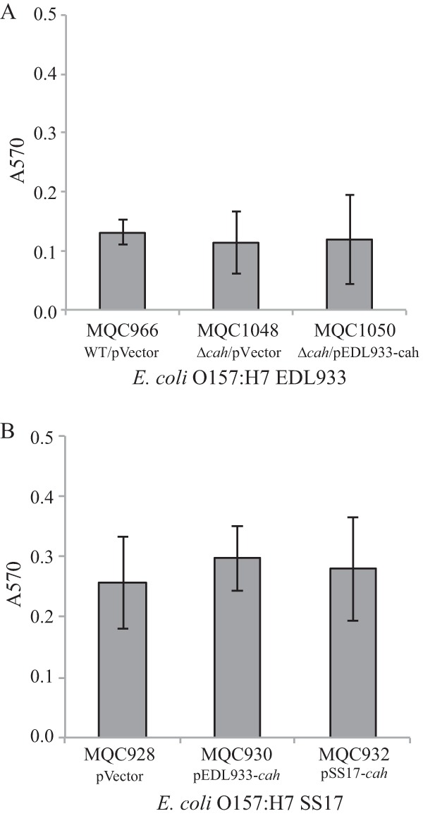 FIG 5