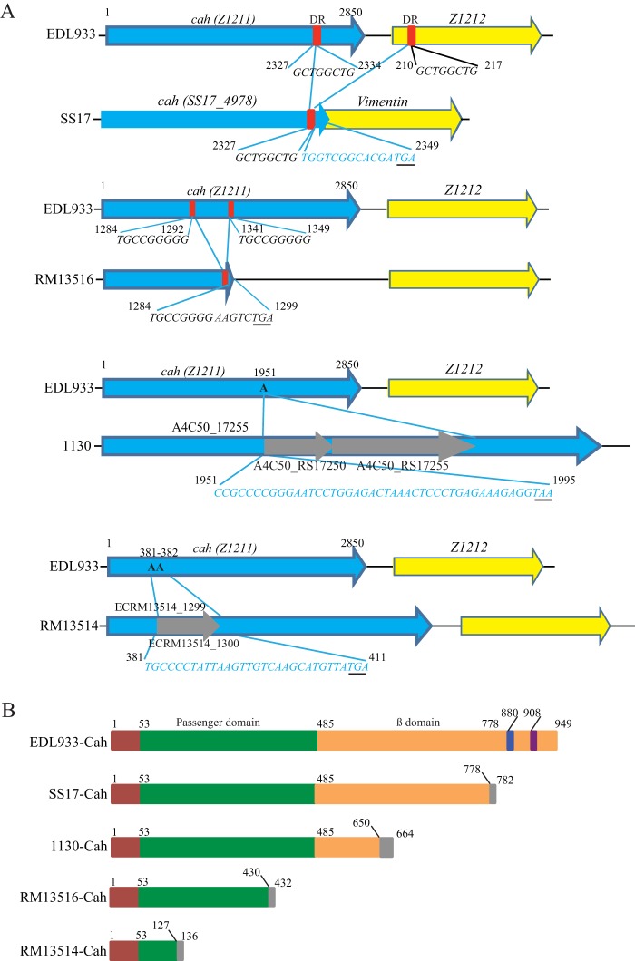 FIG 2