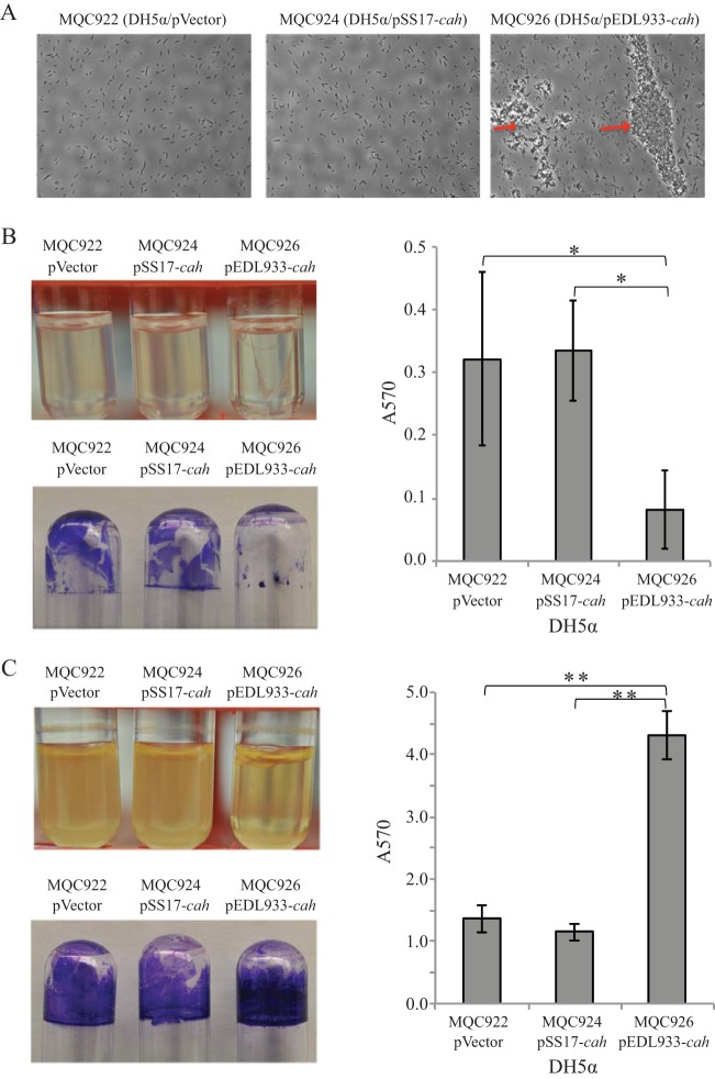 FIG 3