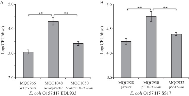 FIG 6