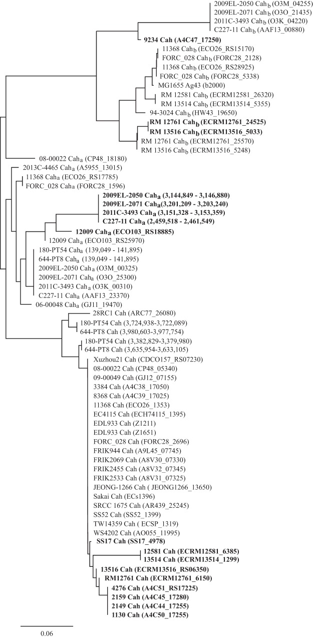 FIG 1