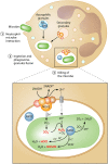 FIG 1