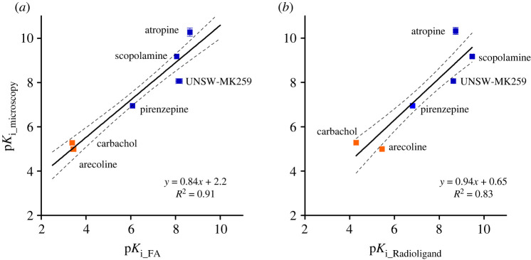 Figure 11. 