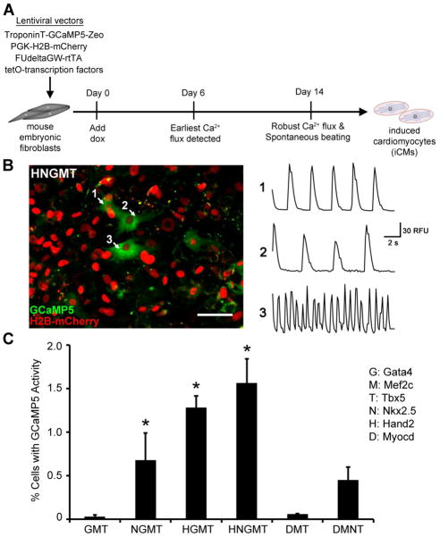 Figure 2