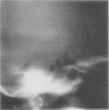 320